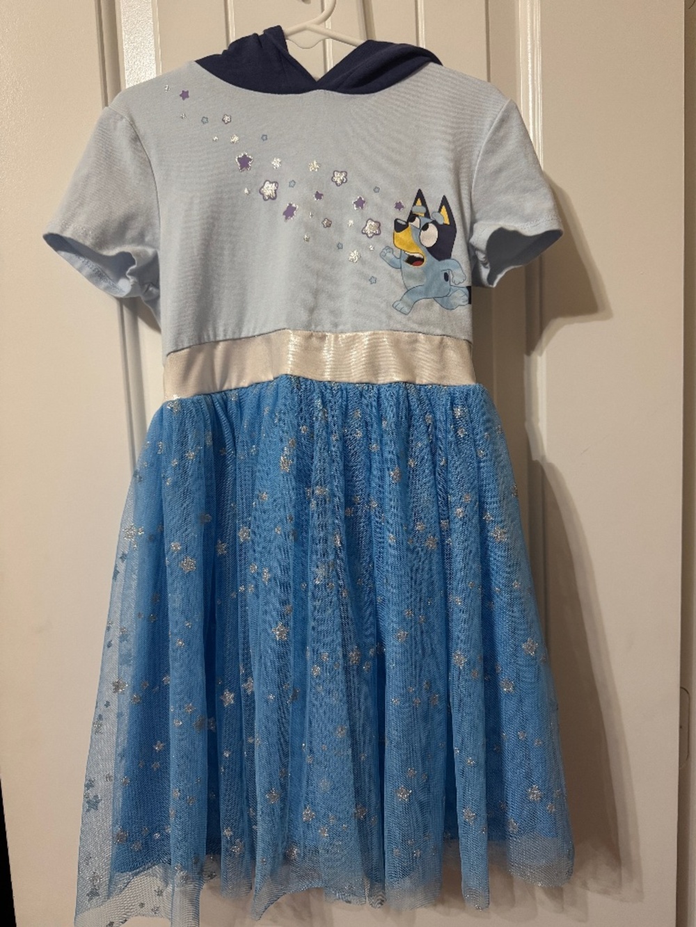 Bluey Tutu Dress with Hood Girls Size XS (4/5)